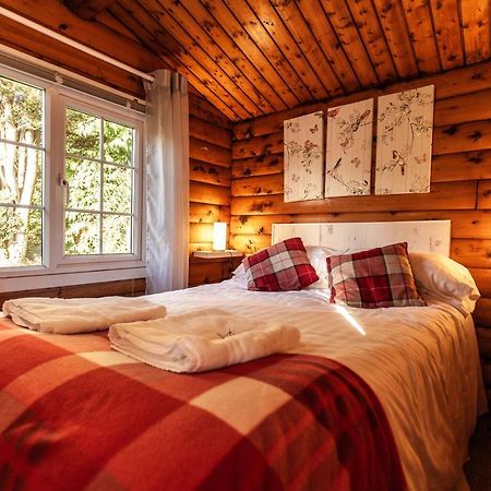 Welsh Retreat 2 Bedroom Log Cabin - Seren Property Trawsfynydd エクステリア 写真