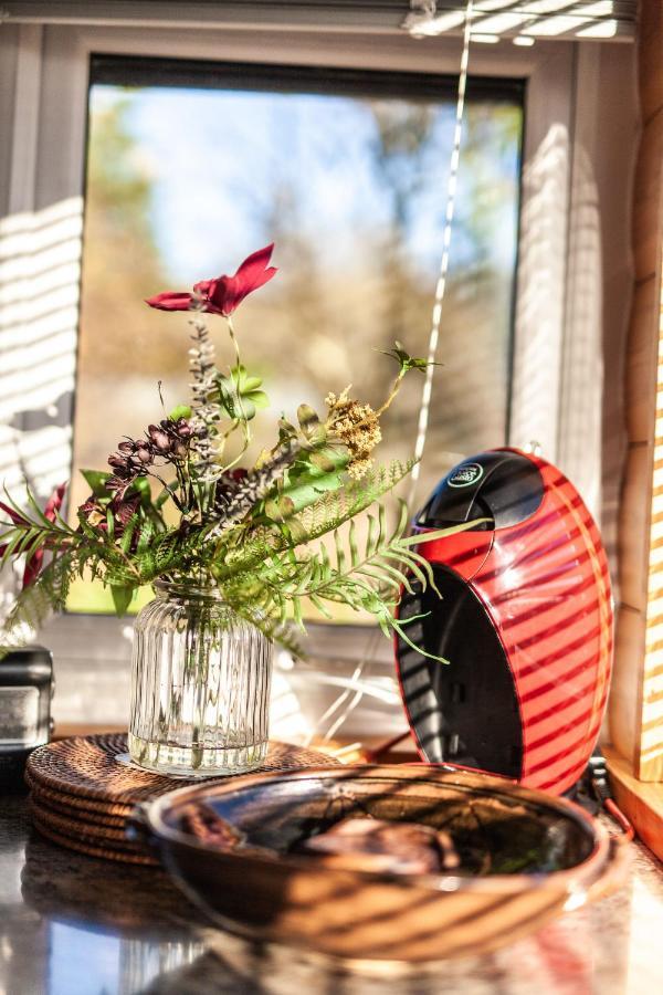 Welsh Retreat 2 Bedroom Log Cabin - Seren Property Trawsfynydd エクステリア 写真