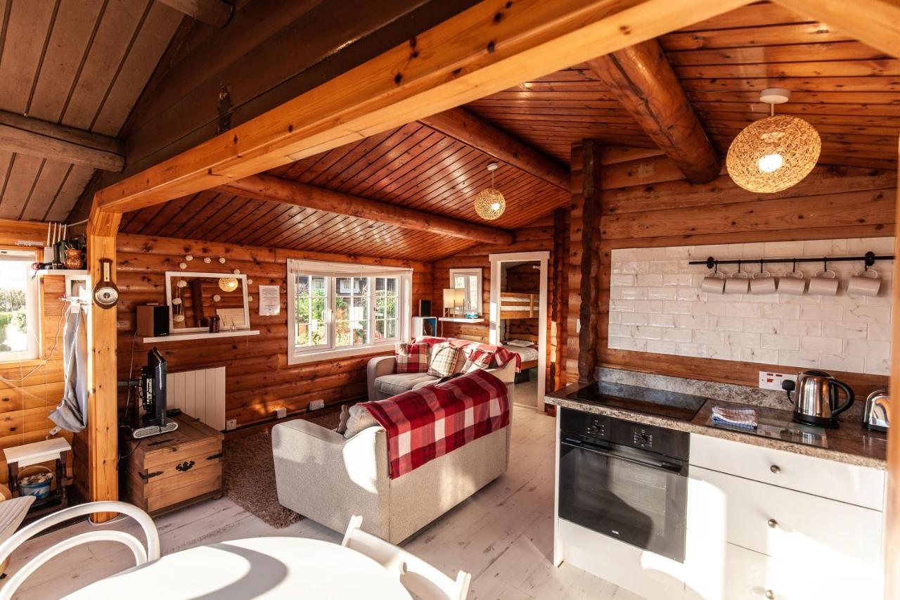 Welsh Retreat 2 Bedroom Log Cabin - Seren Property Trawsfynydd エクステリア 写真