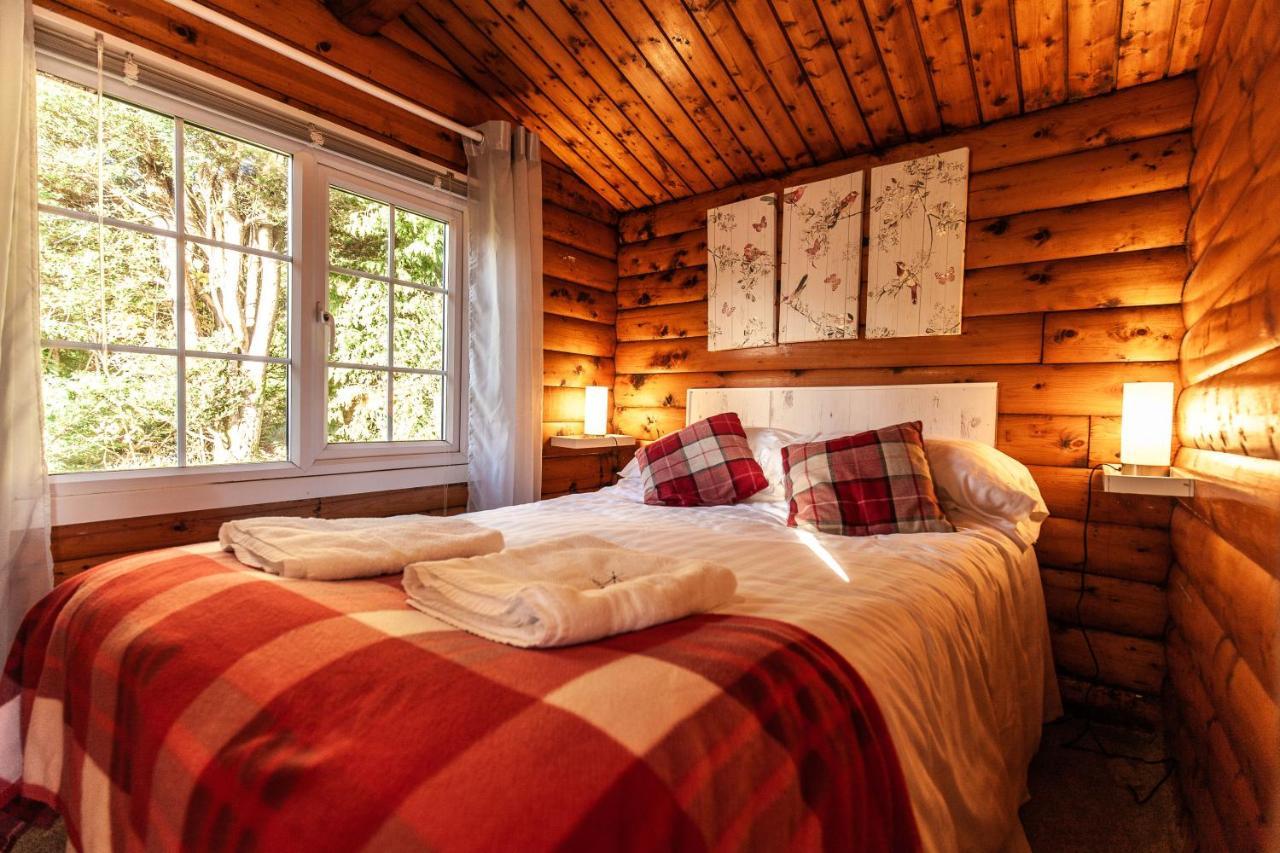 Welsh Retreat 2 Bedroom Log Cabin - Seren Property Trawsfynydd エクステリア 写真