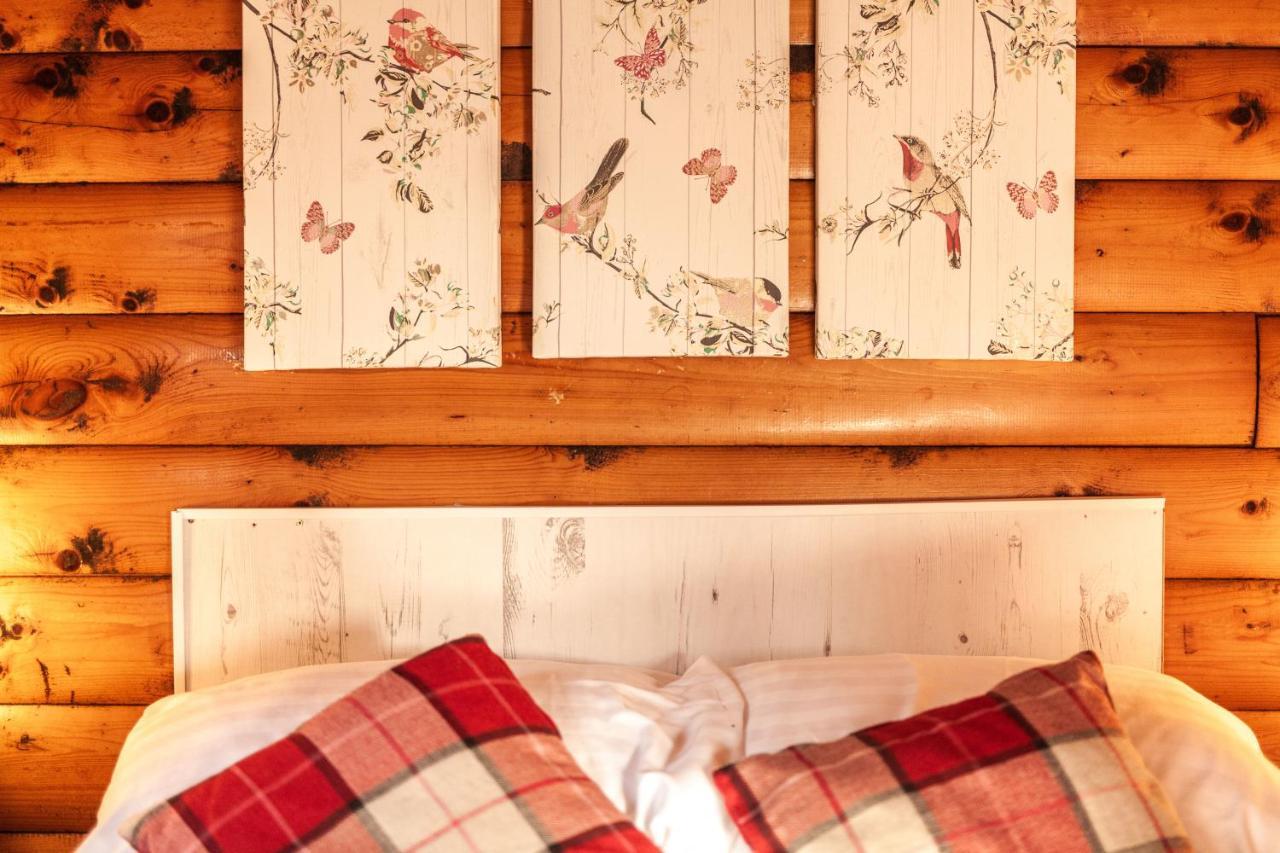 Welsh Retreat 2 Bedroom Log Cabin - Seren Property Trawsfynydd エクステリア 写真