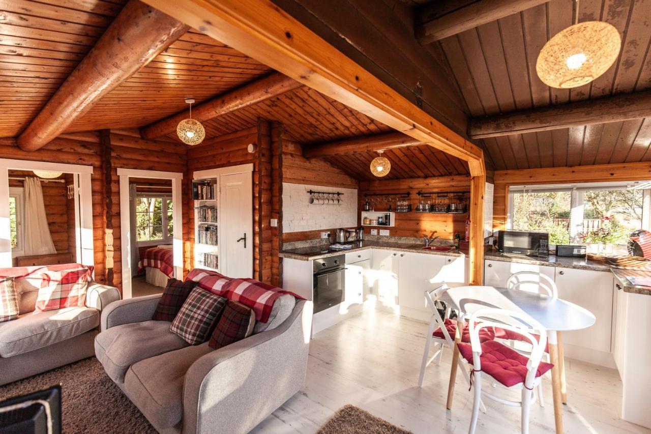 Welsh Retreat 2 Bedroom Log Cabin - Seren Property Trawsfynydd エクステリア 写真