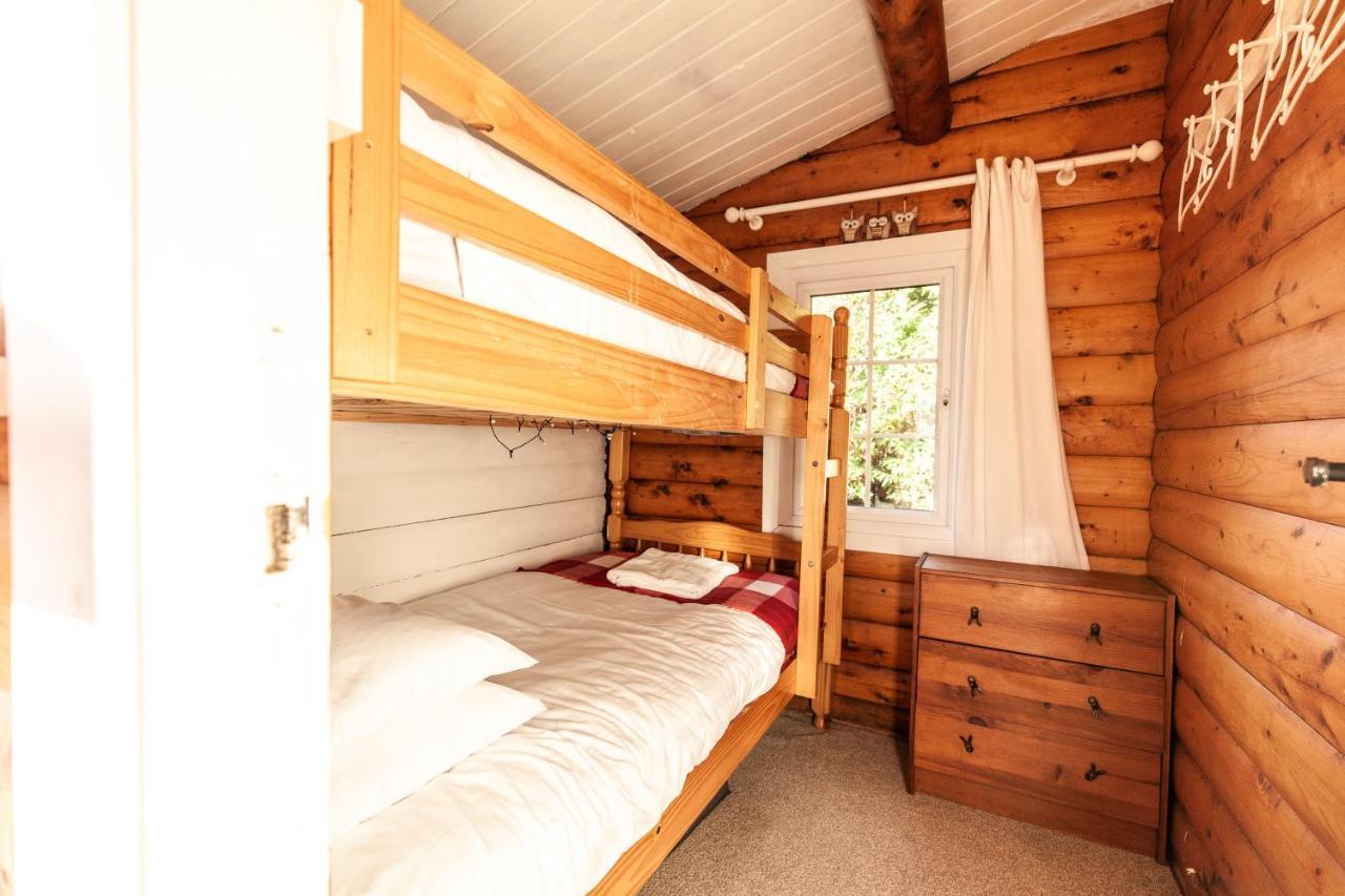 Welsh Retreat 2 Bedroom Log Cabin - Seren Property Trawsfynydd エクステリア 写真