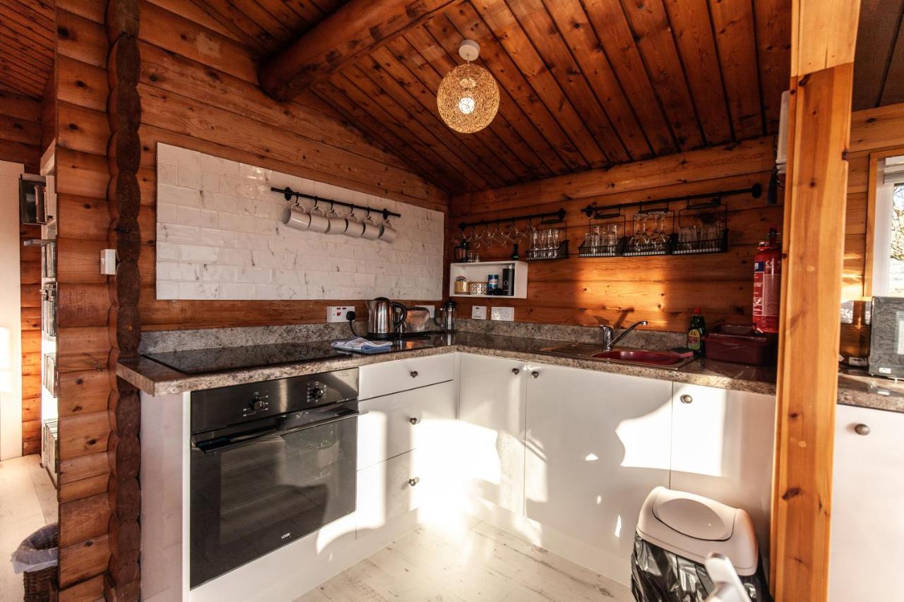Welsh Retreat 2 Bedroom Log Cabin - Seren Property Trawsfynydd エクステリア 写真