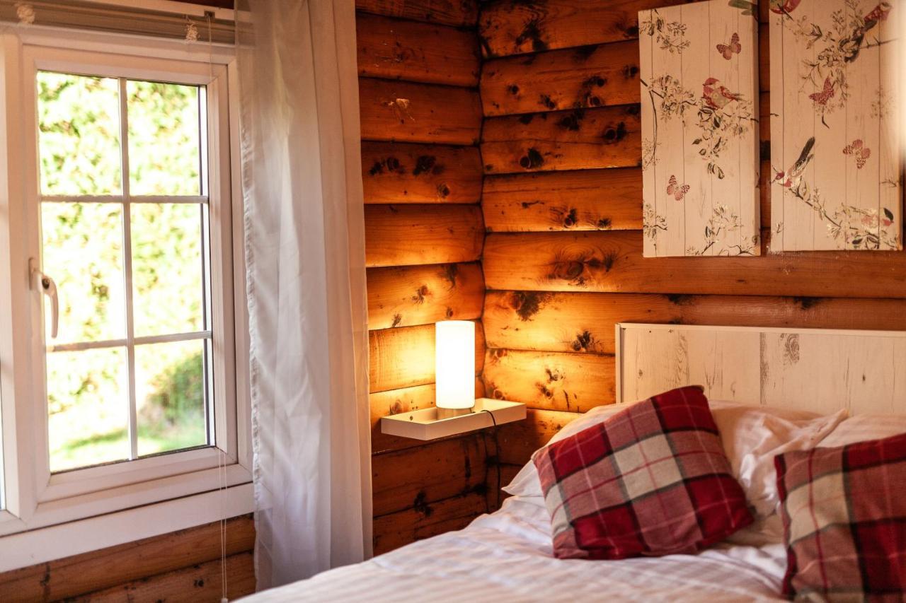Welsh Retreat 2 Bedroom Log Cabin - Seren Property Trawsfynydd エクステリア 写真